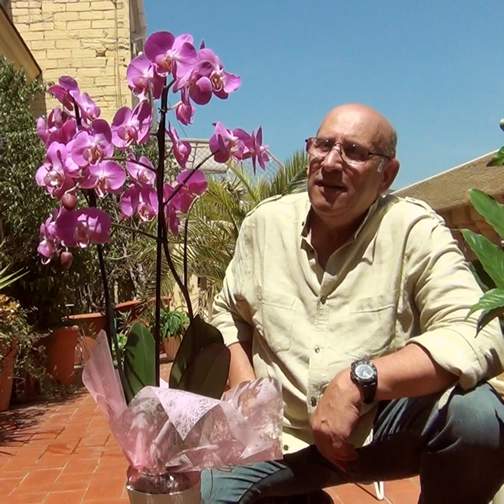 The Orchid (3 mins). By Spanish director Ferran Navarro-Beltrán.