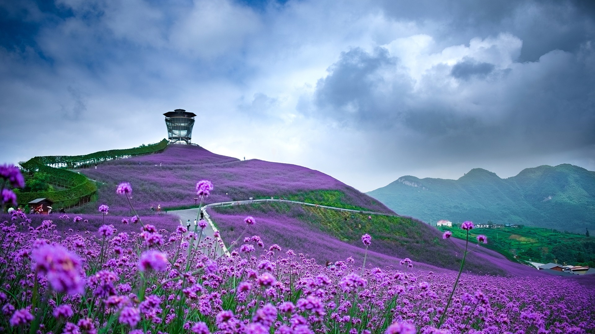 Teach English as a language assistant in China British