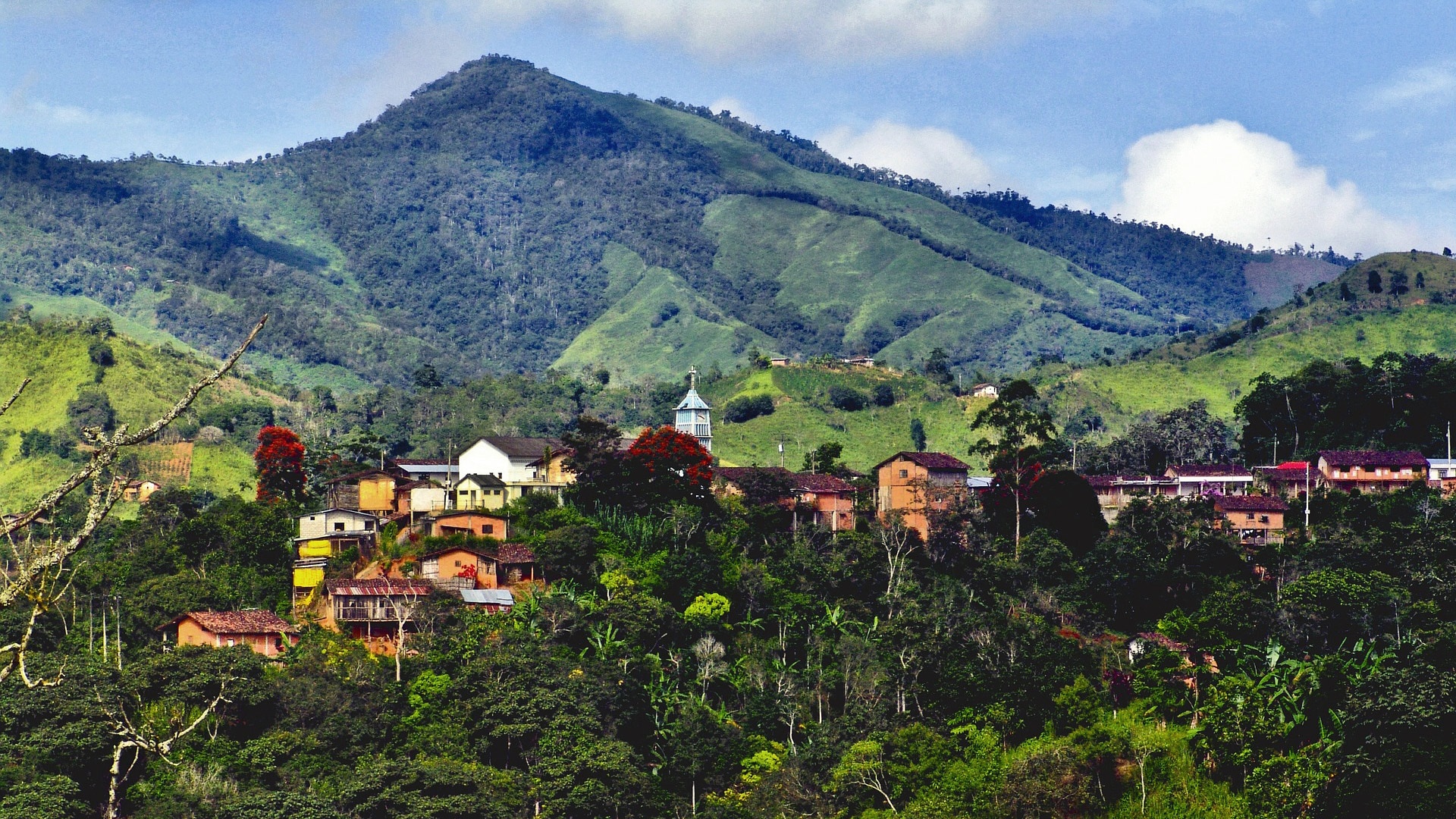 teach english as a language assistant in ecuador british council
