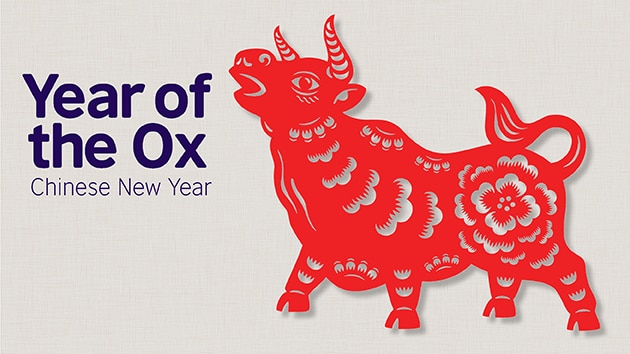 chinese new year ox enemy