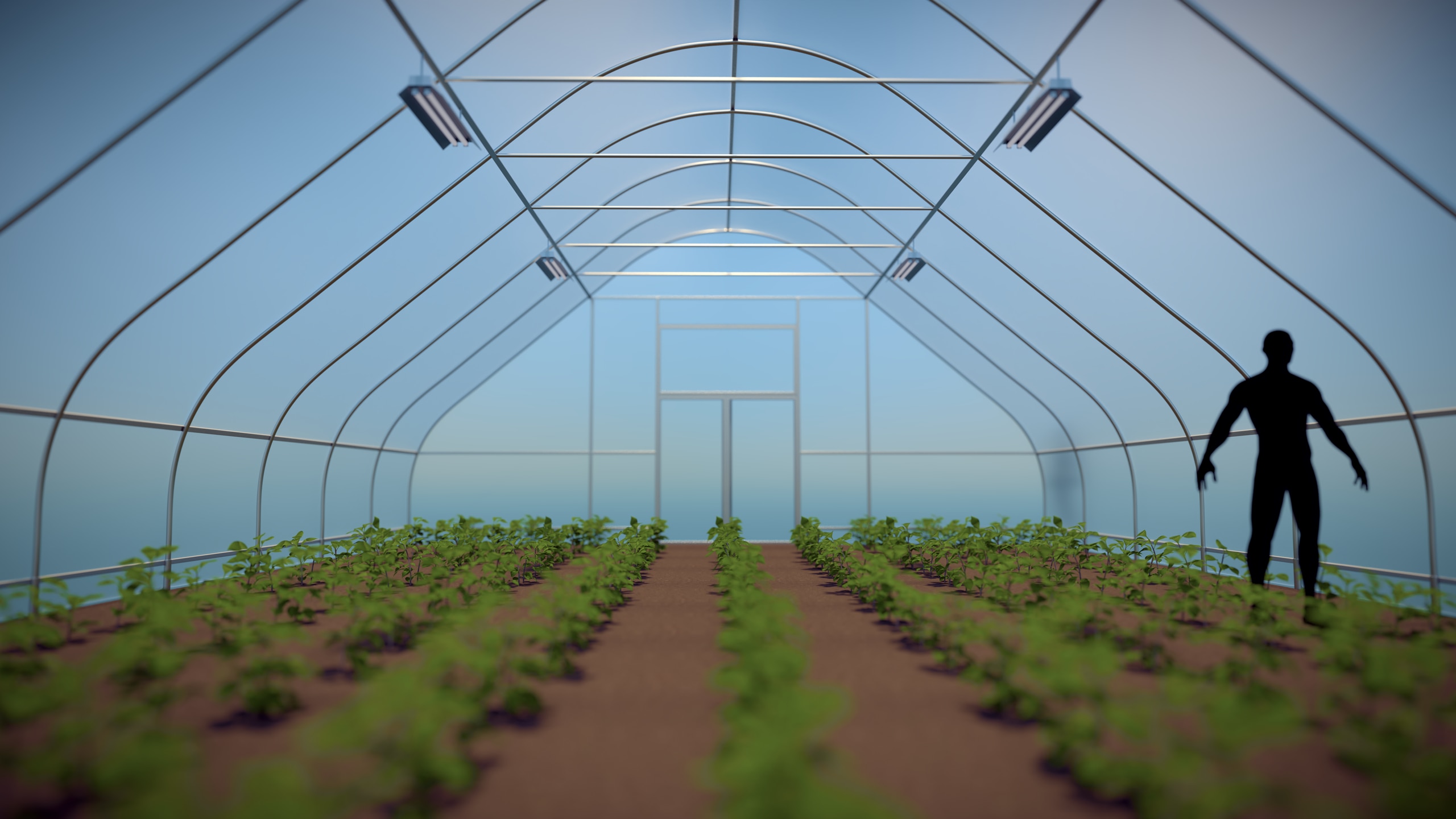 Computer visualisation of the GreenDom project